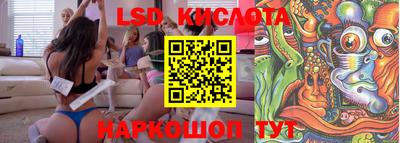 стафф Берёзовский