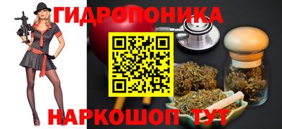 стаф Бийск