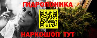 стаф Бийск
