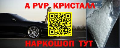 стафф Берёзовский
