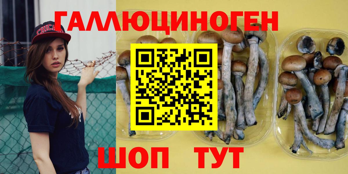 Галлюциногенные грибы мухоморы  Вход с VPN  Псилоцибиновые грибы Psilocybe  Кизляр 